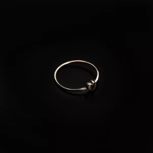 مینیمال تک قلب 1104