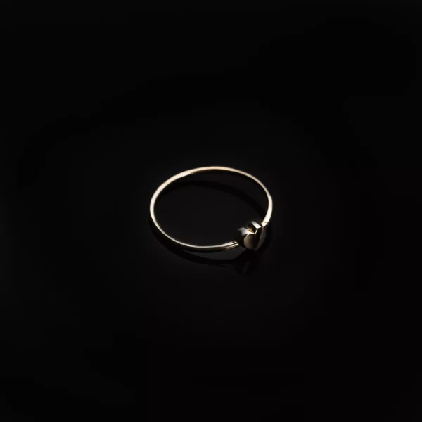 مینیمال تک قلب 1104