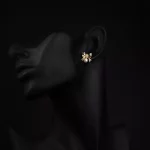 گوشواره کارتیه لاو 2087